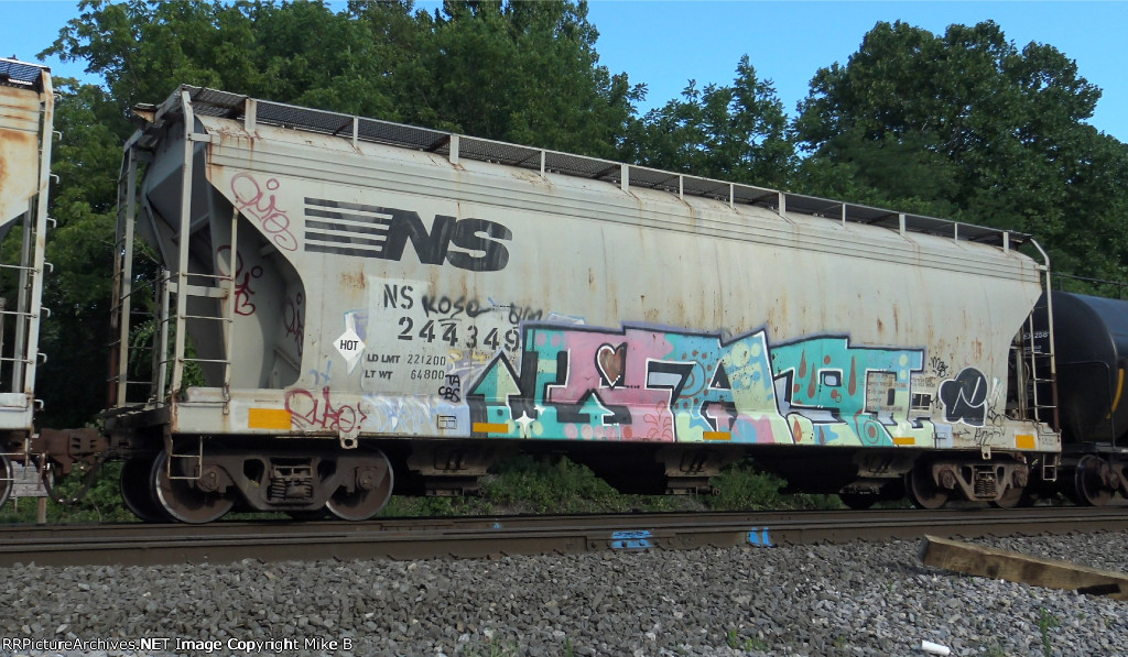 NS 244349